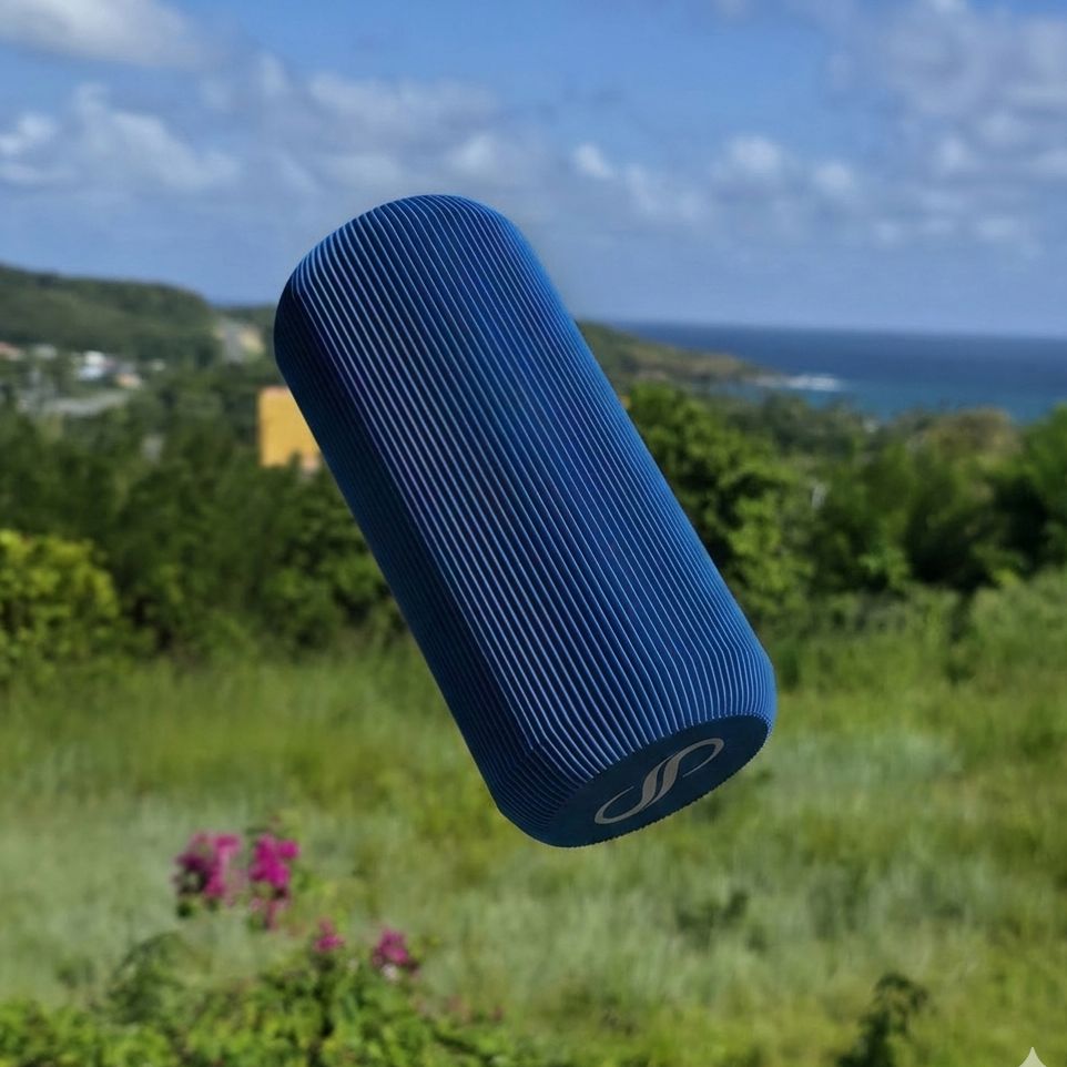 piggy Bank Blue 