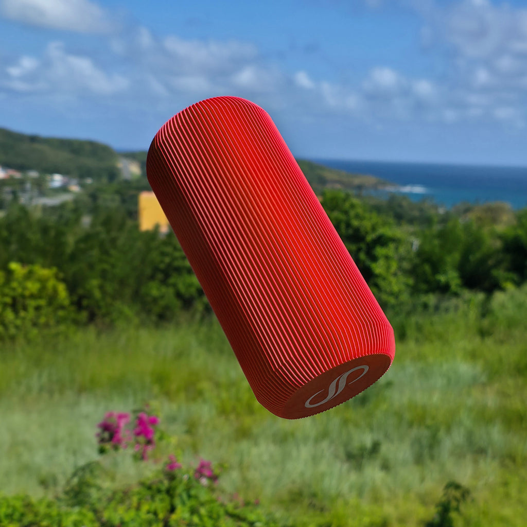 piggy bank red